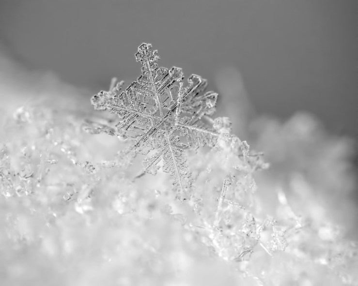 First Snowflake - Rona Black