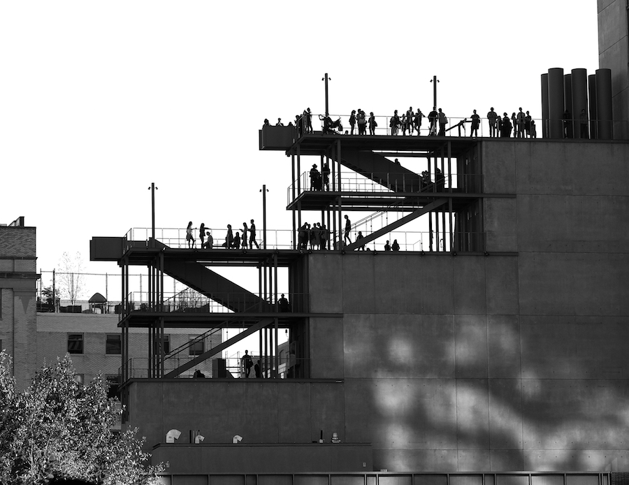 Whitney Museum - Rona Black